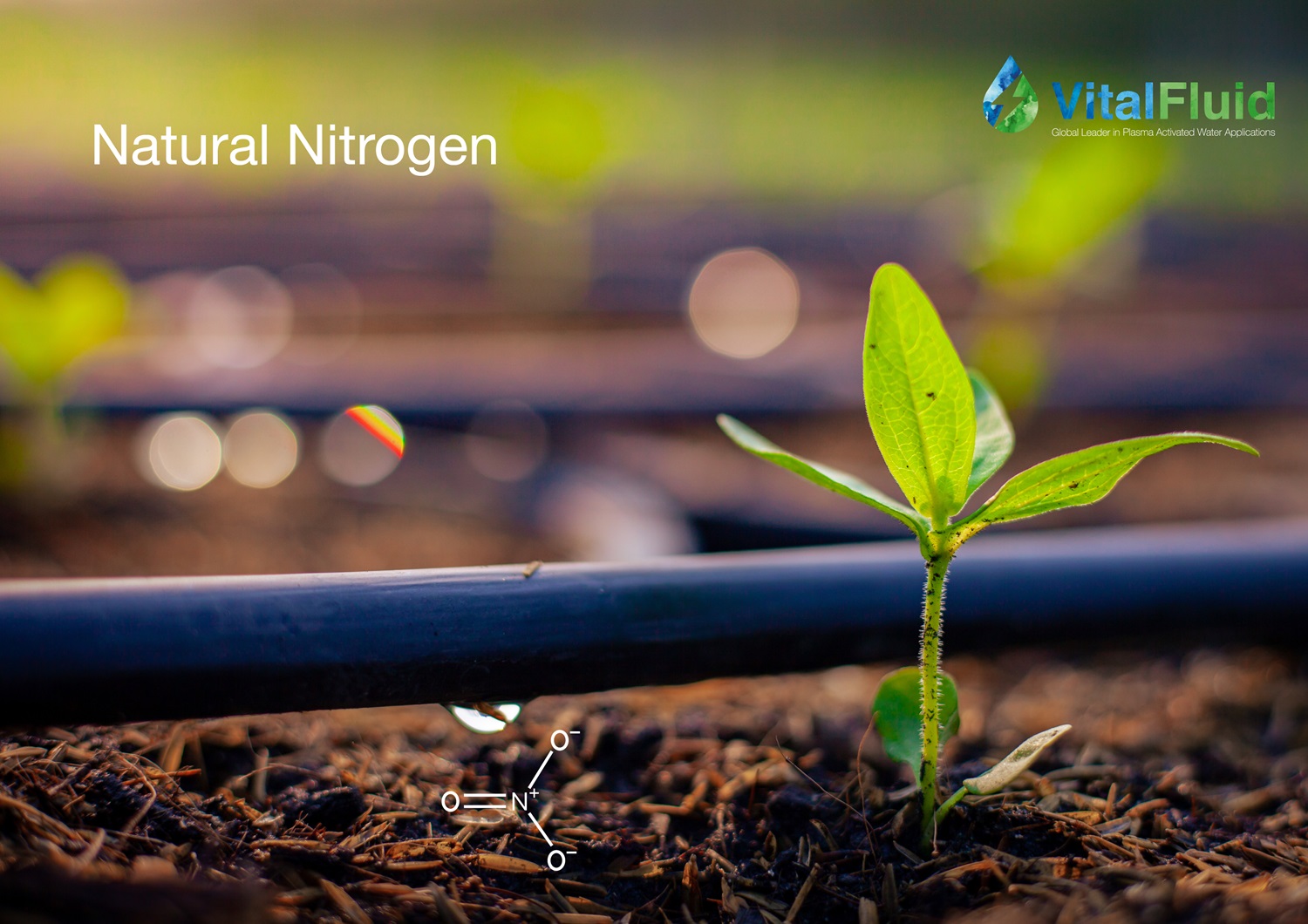 Natural Nitrogen